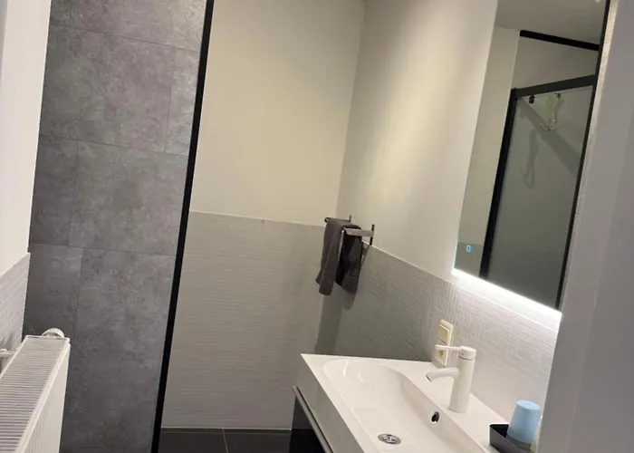 Duplex Vernieuwd Appartement Dujardin Bubbelbad דירה בלנקנברג