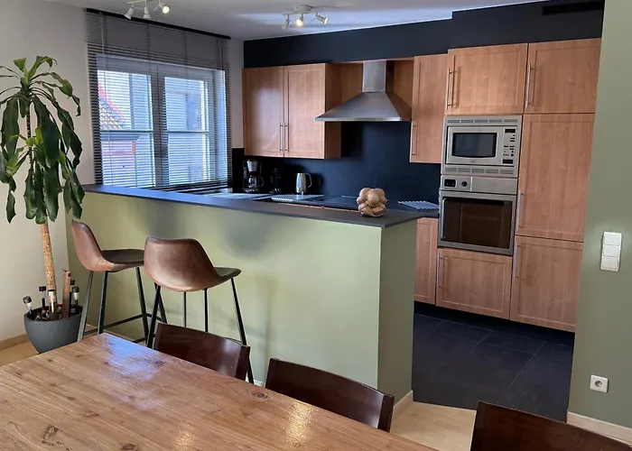 Duplex Vernieuwd Appartement Dujardin Bubbelbad *