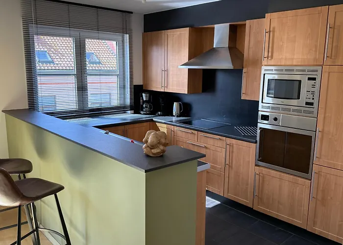 Duplex Vernieuwd Appartement Dujardin Bubbelbad * בלנקנברג