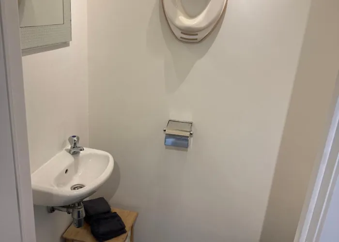 Duplex Vernieuwd Appartement Dujardin Bubbelbad דירה בלנקנברג